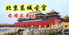 黄色搞基zzz中国北京-东城古宫旅游风景区